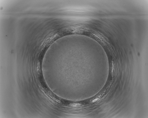 X0000059040748200510101009