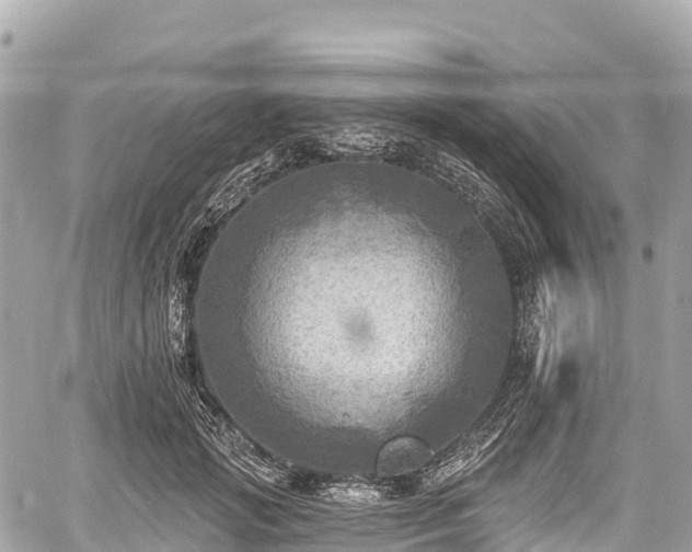 X0000059040749200510101009