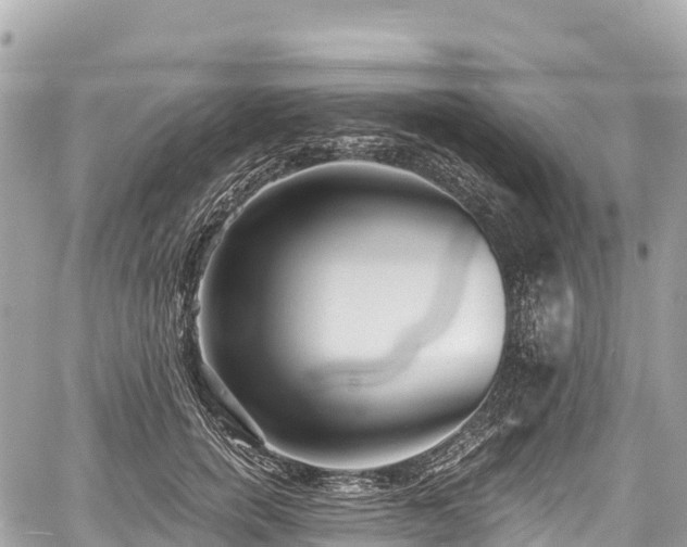 X0000059040750200510101009