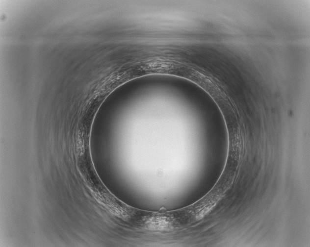 X0000059040751200510101009