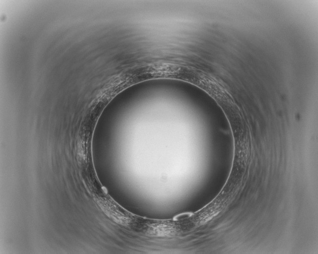 X0000059040755200510101009