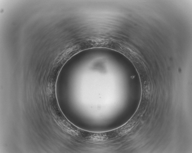 X0000059040756200510101009