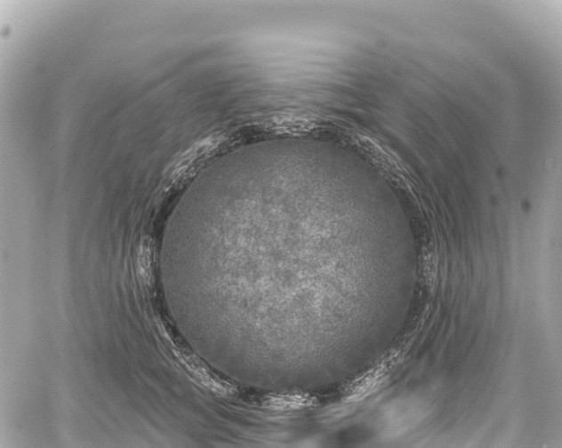 X0000059040757200510101010