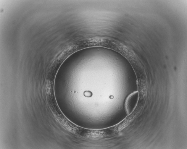 X0000059040758200510101010