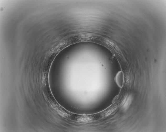 X0000059040759200510101010