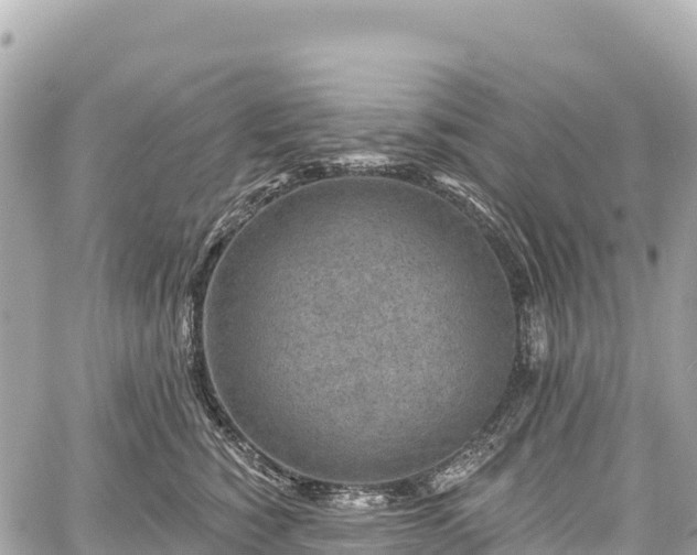 X0000059040760200510101010