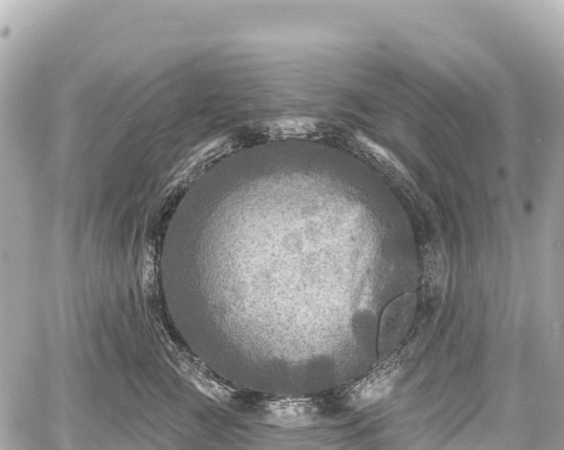 X0000059040761200510101010