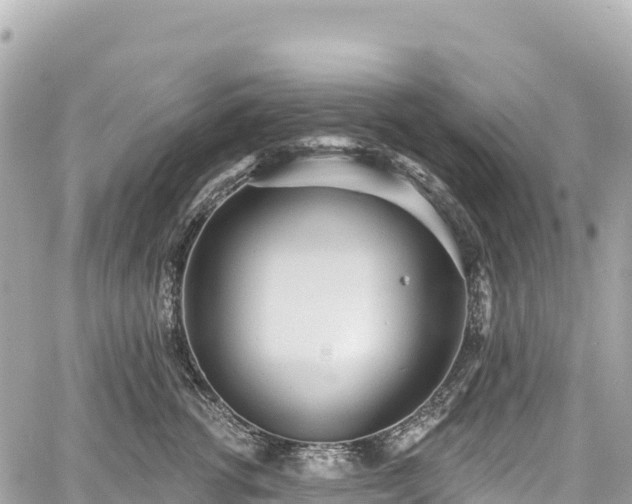 X0000059040762200510101010