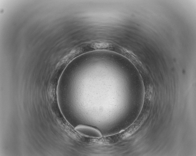 X0000059040763200510101010