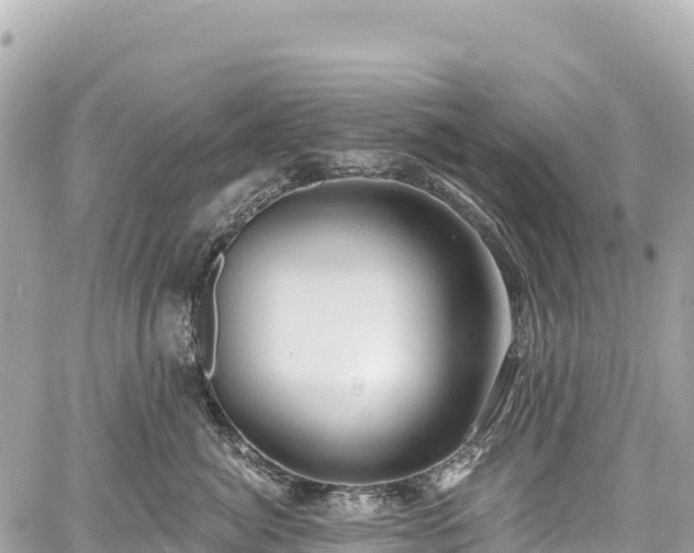 X0000059040764200510101010