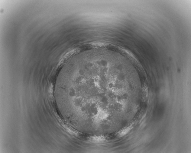 X0000059040765200510101010