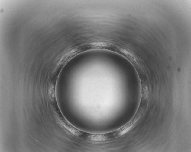 X0000059040766200510101010