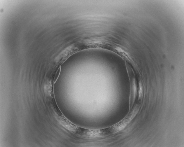 X0000059040767200510101010