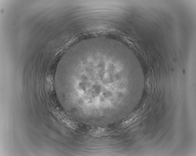 X0000059040772200510101009