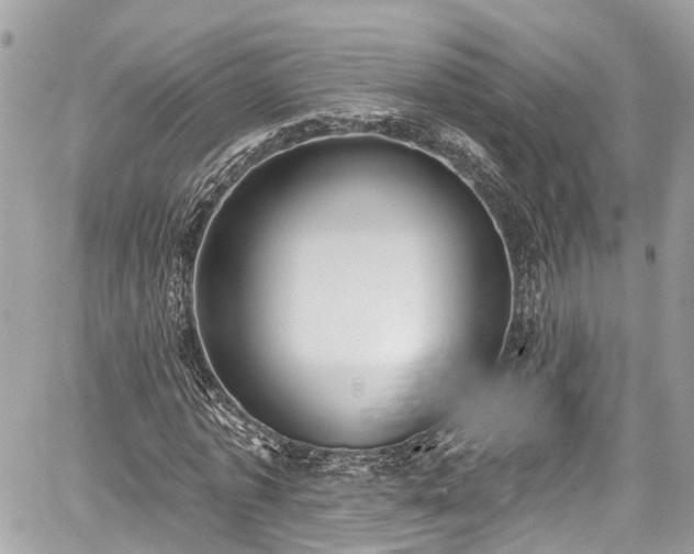 X0000059040773200510101009