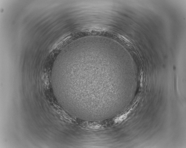 X0000059040774200510101009