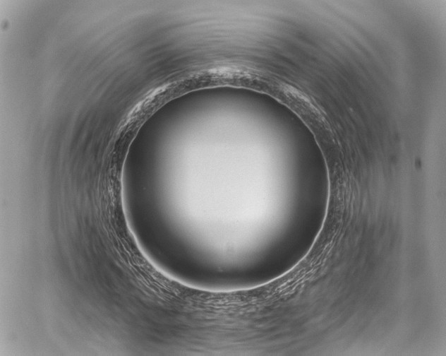 X0000059040776200510101009