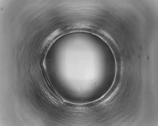 X0000059040777200510101009