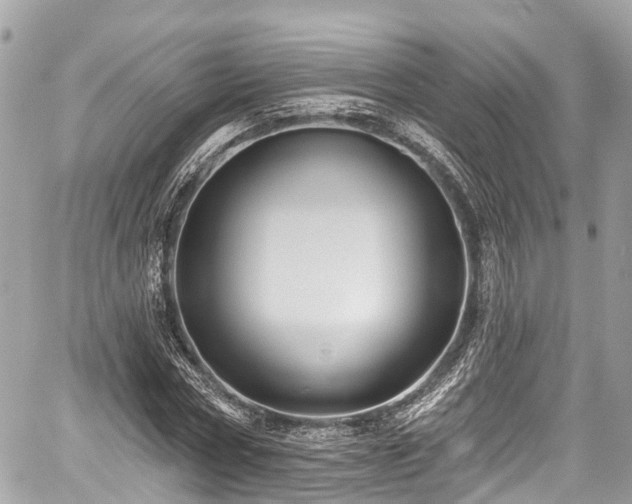 X0000059040778200510101009