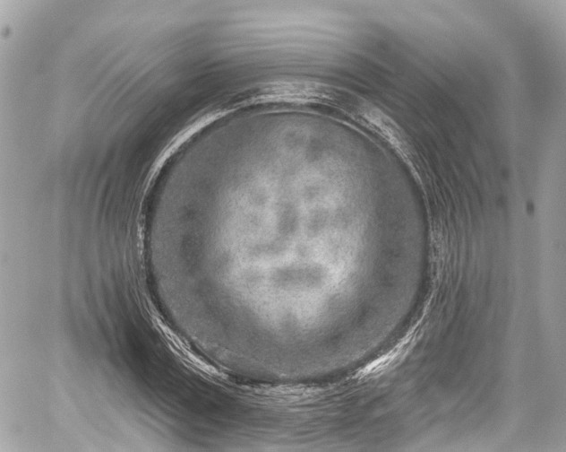 X0000059040779200510101009