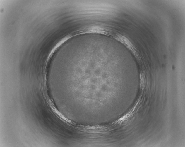 X0000059040780200510101009