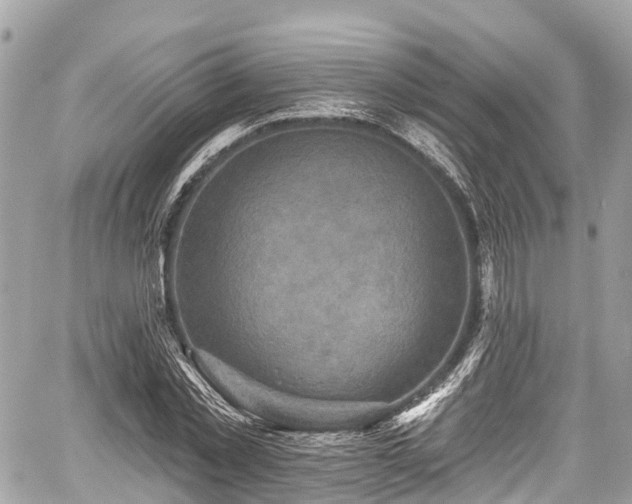 X0000059040781200510101009