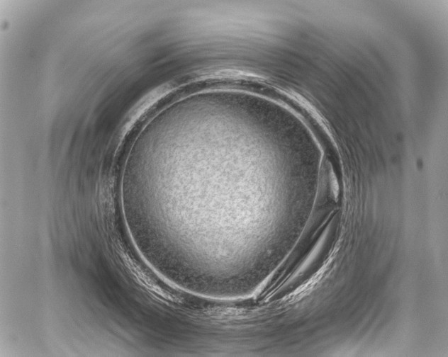 X0000059040783200510101009