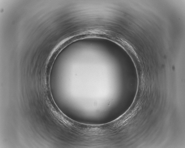 X0000059040784200510101009