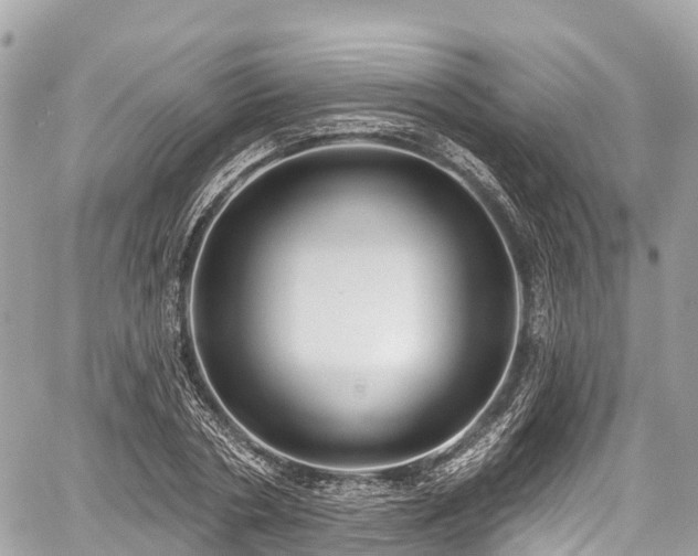 X0000059040786200510101009