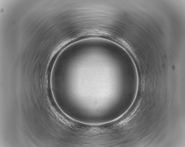 X0000059040787200510101009