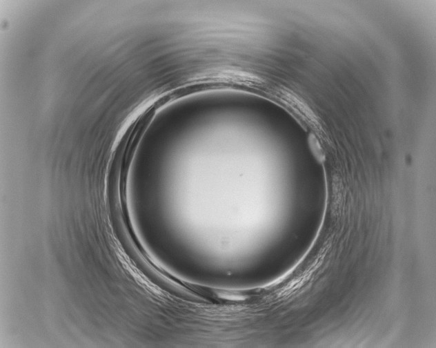 X0000059040788200510101009