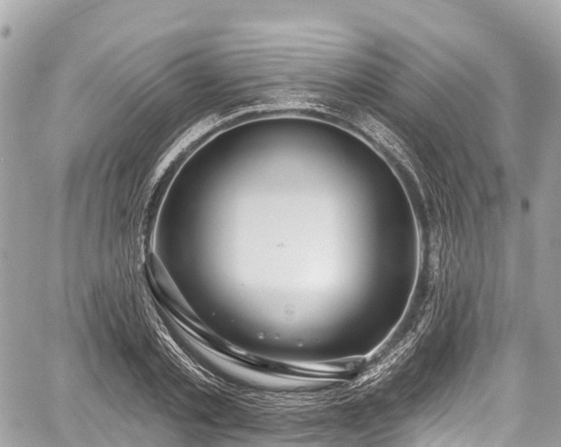 X0000059040789200510101008