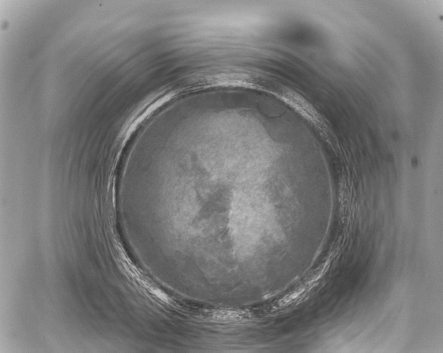 X0000059040790200510101008