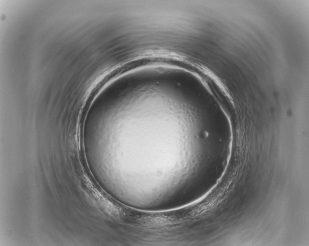 X0000059040791200510101008