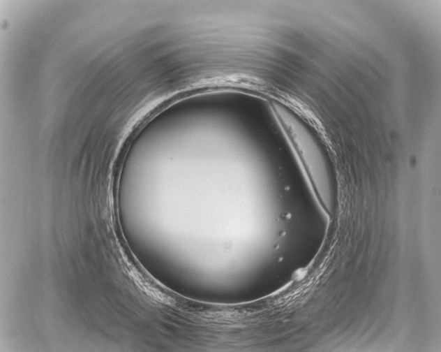 X0000059040792200510101008