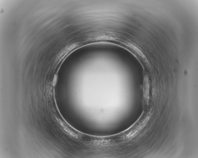 X0000059040793200510101008