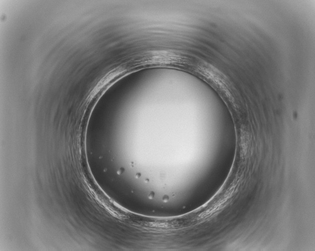 X0000059040794200510101008