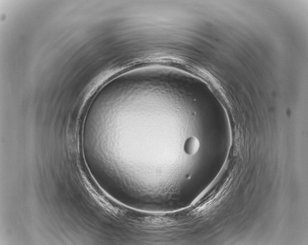 X0000059040795200510101008