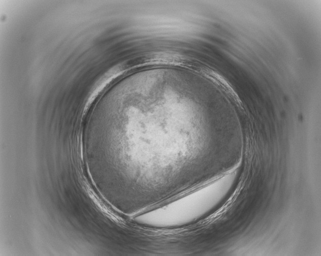 X0000059040796200510101008