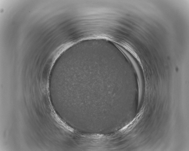 X0000059040797200510101008