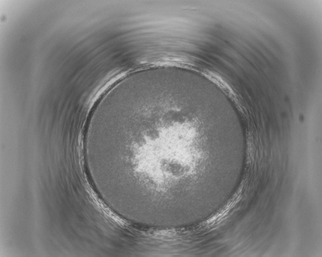 X0000059040798200510101008