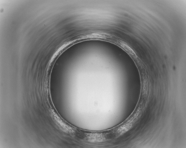 X0000059040800200510101008