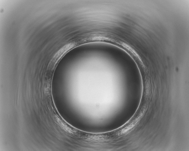 X0000059040801200510101008