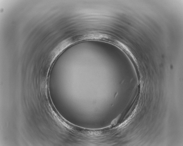 X0000059040802200510101008