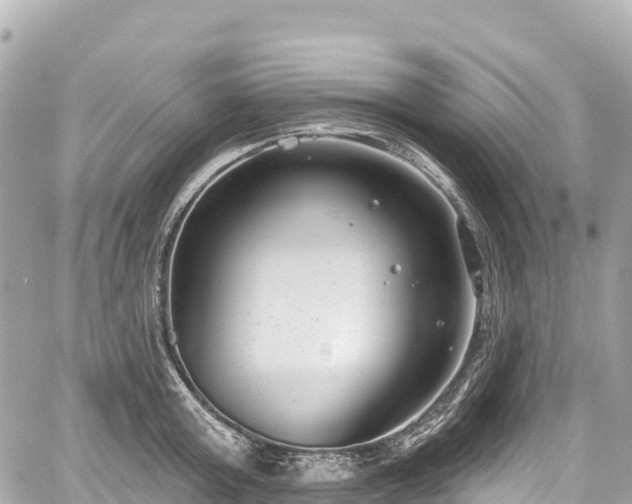 X0000059040803200510101008