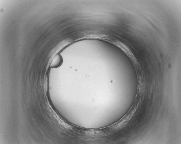 X0000059040804200510101008