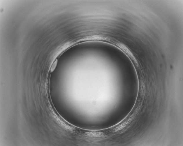 X0000059040805200510101008