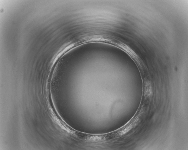 X0000059040806200510101008