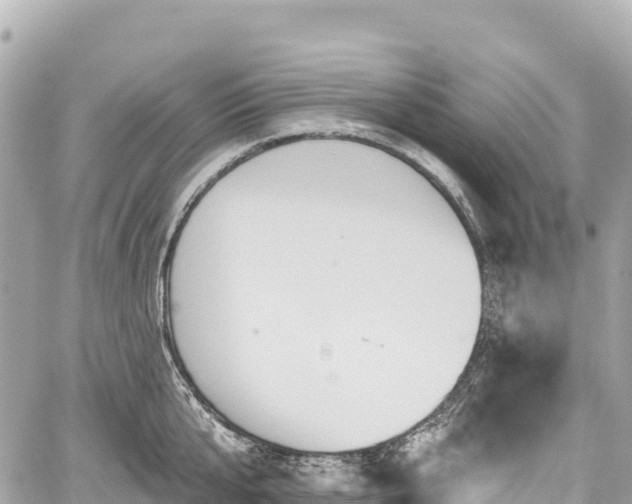 X0000059040807200510101008