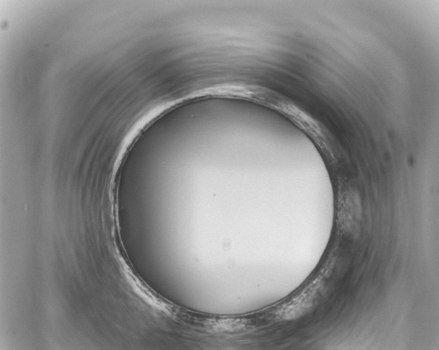 X0000059040808200510101008